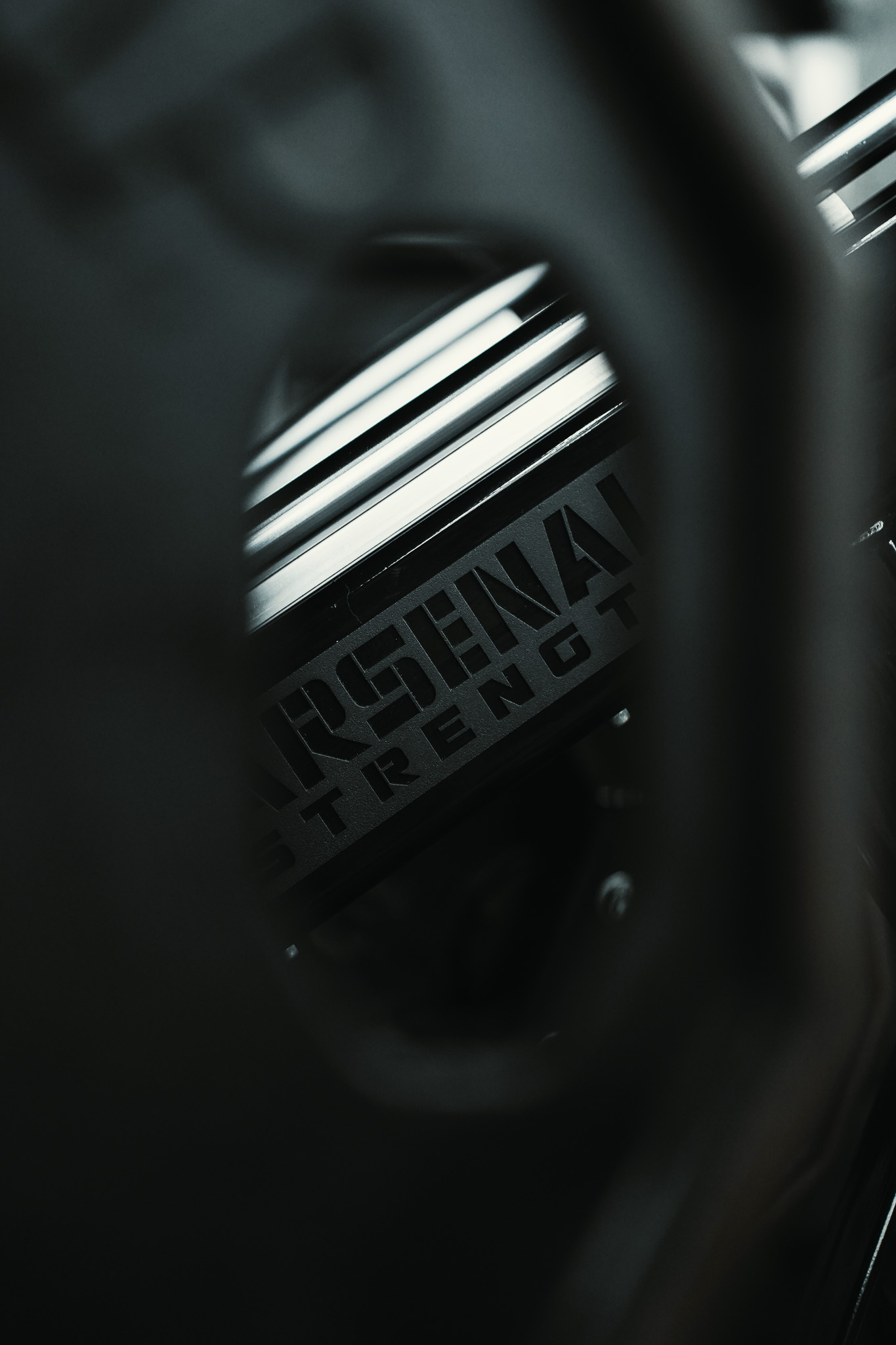 Arsenal Strength weight plate detail